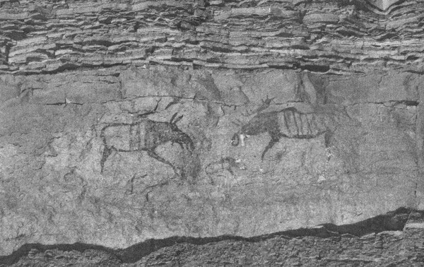 Летающие жирафы, мамонты-блондины, карликовые коровы... От палеонтологических реконструкций к предсказаниям будущего Земли