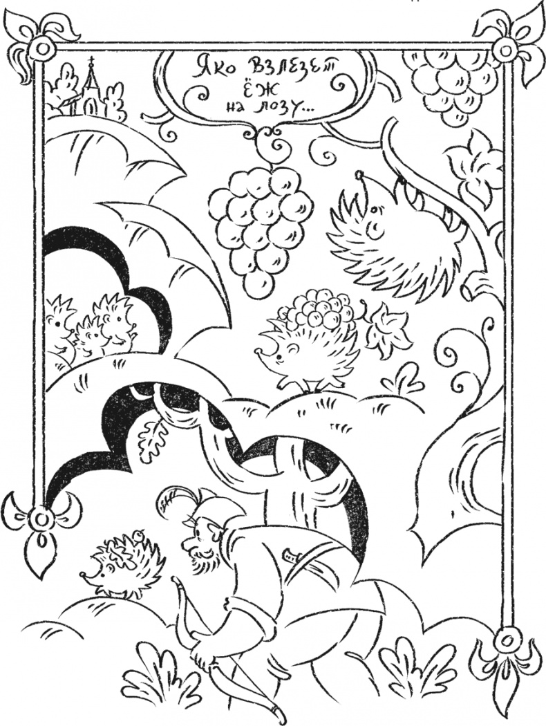 Введение в поведение. История наук о том, что движет животными и как их правильно понимать