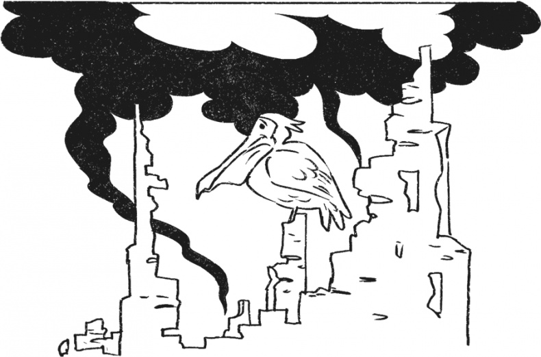 Введение в поведение. История наук о том, что движет животными и как их правильно понимать