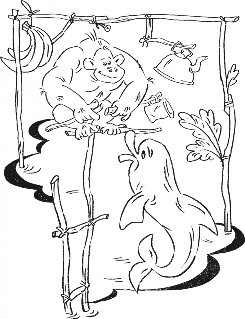 Введение в поведение. История наук о том, что движет животными и как их правильно понимать