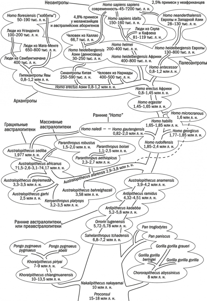 Достающее звено. Книга 2. Люди Достающее звено. Книга 2. Люди