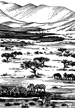 Непослушное дитя биосферы. Беседы о поведении человека в компании птиц, зверей и детей