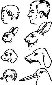 Непослушное дитя биосферы. Беседы о поведении человека в компании птиц, зверей и детей