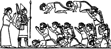 Непослушное дитя биосферы. Беседы о поведении человека в компании птиц, зверей и детей