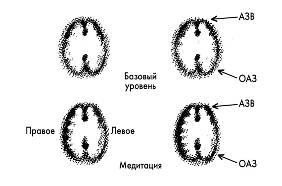 Тайна Бога и наука о мозге. Нейробиология веры и религиозного опыта