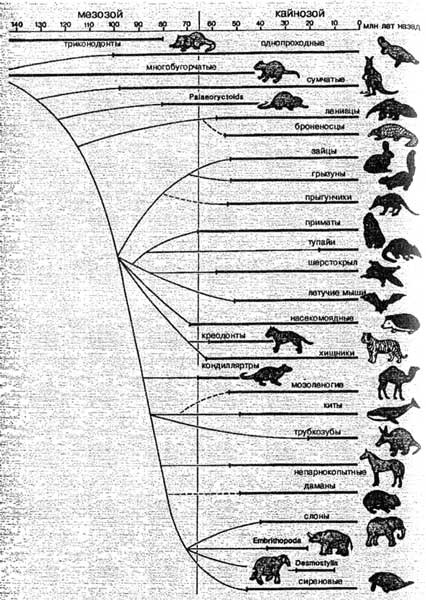 Эволюция для всех, или Путь кентавра