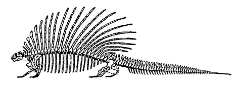 Эволюция для всех, или Путь кентавра