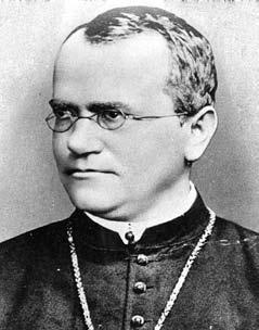 Удивительная генетика Удивительная генетика