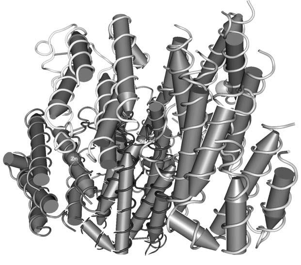 Удивительная генетика