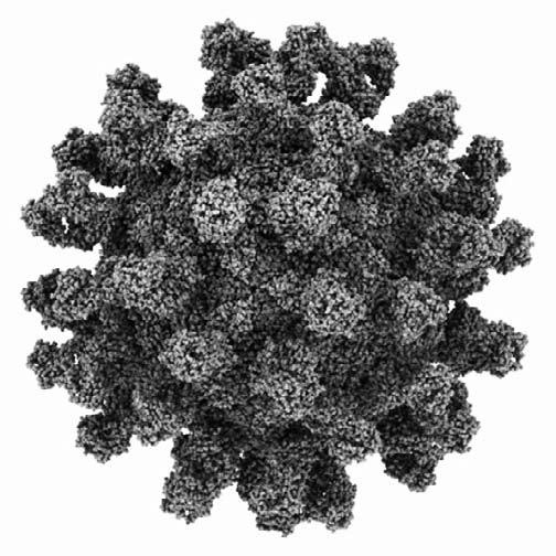 Удивительная генетика