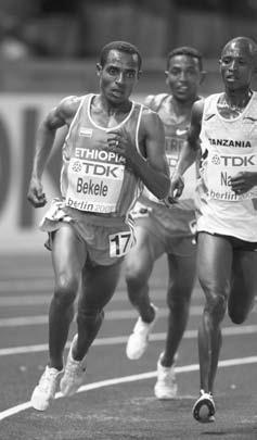 Удивительная генетика