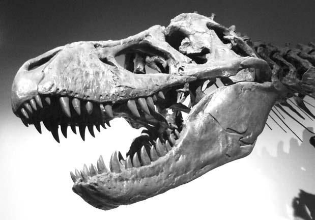 Удивительная генетика