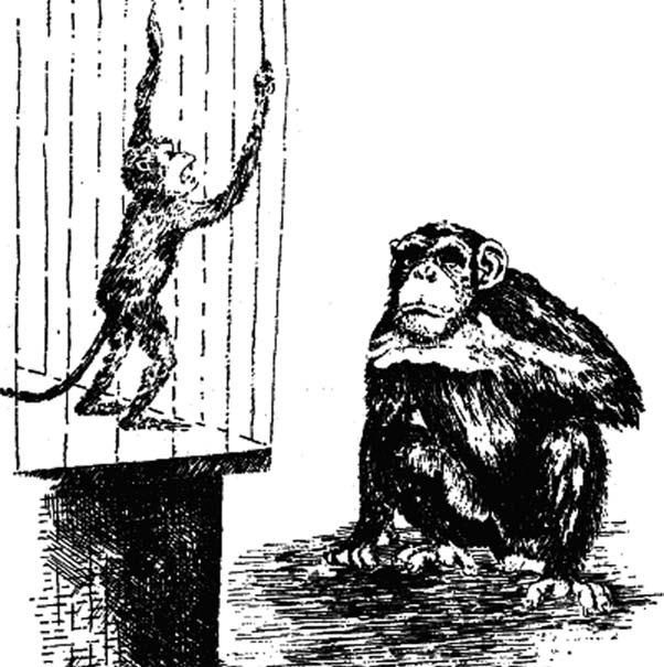 Удивительная генетика