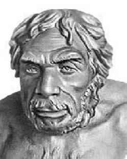 Удивительная генетика