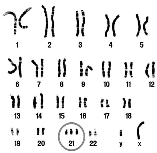 Удивительная генетика