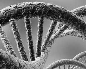 Удивительная генетика Удивительная генетика