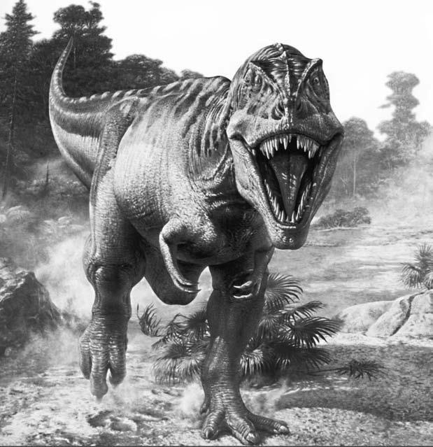 Удивительная генетика