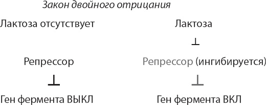 Закон "джунглей". В поисках формулы жизни