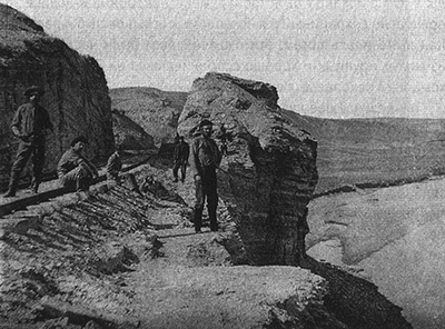 Приспособиться и выжить! ДНК как летопись эволюции Приспособиться и выжить! ДНК как летопись эволюции