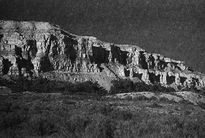 Приспособиться и выжить! ДНК как летопись эволюции Приспособиться и выжить! ДНК как летопись эволюции