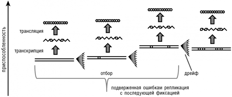 Логика случая. О природе и происхождении биологической эволюции Логика случая. О природе и происхождении биологической эволюции