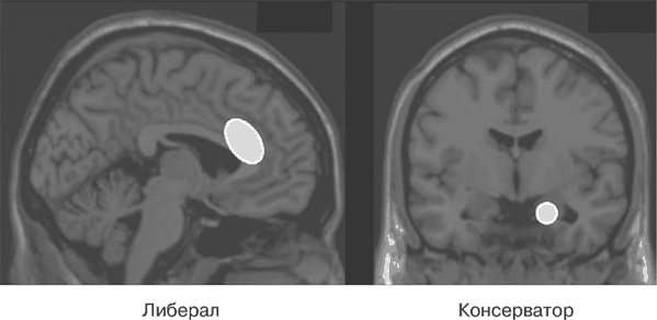 Почему девочки не хуже мальчиков разбираются в математике Почему девочки не хуже мальчиков разбираются в математике