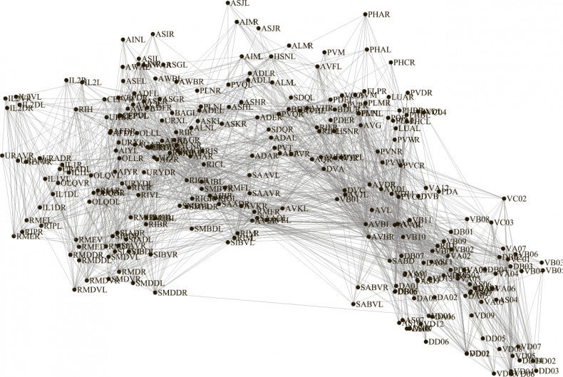 Коннектом. Как мозг делает нас тем, что мы есть Коннектом. Как мозг делает нас тем, что мы есть