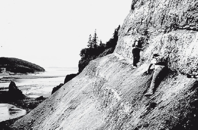 Вселенная внутри нас. Что общего у камней, планет и людей