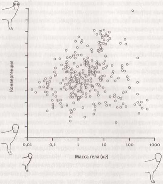 Революция в зрении. Что, как и почему мы видим на самом деле Революция в зрении. Что, как и почему мы видим на самом деле