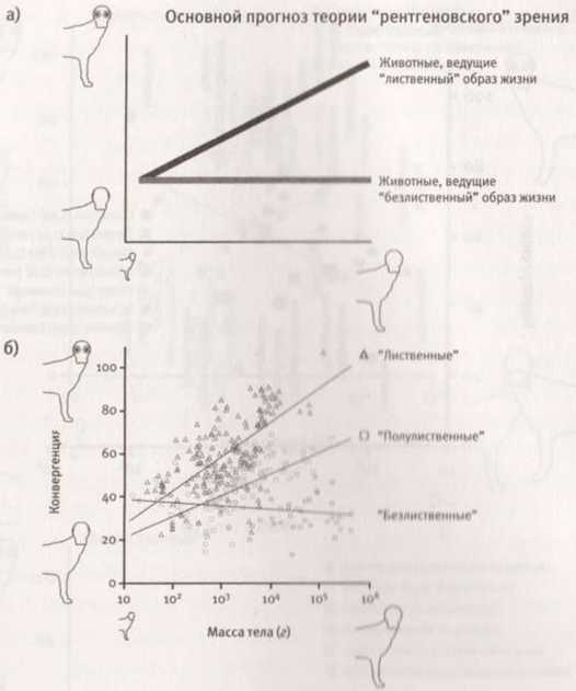 Революция в зрении. Что, как и почему мы видим на самом деле Революция в зрении. Что, как и почему мы видим на самом деле