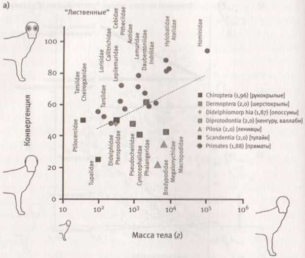 Революция в зрении. Что, как и почему мы видим на самом деле Революция в зрении. Что, как и почему мы видим на самом деле