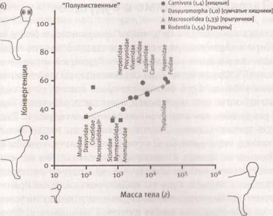 Революция в зрении. Что, как и почему мы видим на самом деле Революция в зрении. Что, как и почему мы видим на самом деле