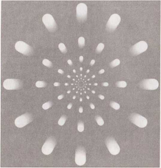 Революция в зрении. Что, как и почему мы видим на самом деле