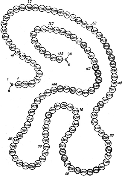 Самая главная молекула. От структуры ДНК к биомедицине XXI века Самая главная молекула. От структуры ДНК к биомедицине XXI века