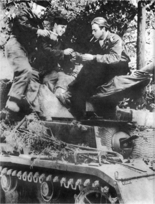 Wehrmacht. Сухопутные войска III Рейха Wehrmacht. Сухопутные войска III Рейха