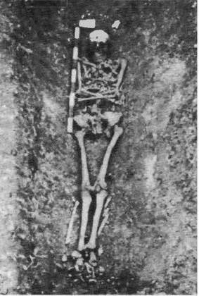 Крымская кампания 1854-1856 гг. Восточной войны 1853-1856 гг. Часть 2. Альма