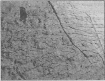 Тайны подземного мира