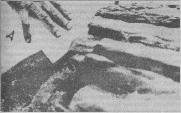 Тайны подземного мира