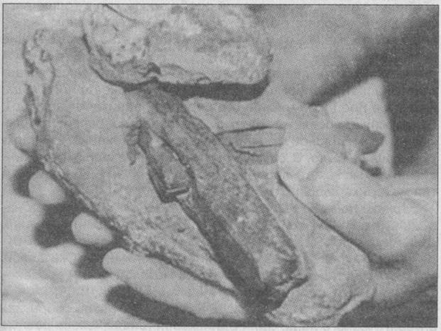 Тайны подземного мира