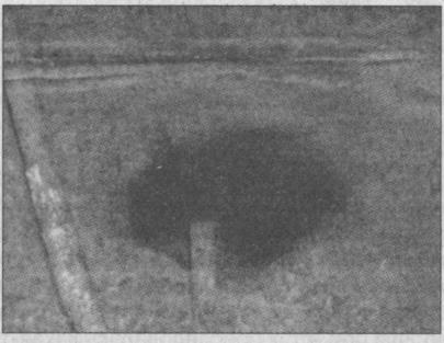 Тайны подземного мира