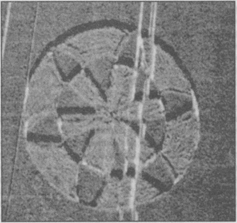 Тайны подземного мира