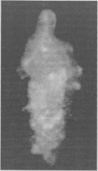 Тайны подземного мира