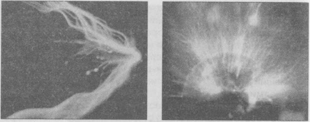 Тайны подземного мира