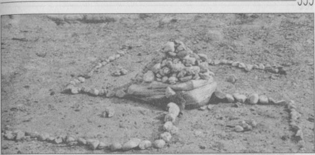 Тайны подземного мира