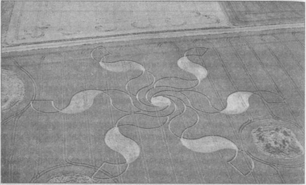 Тайны подземного мира