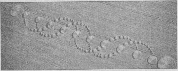 Тайны подземного мира