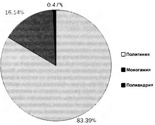 Тайны пола. Мужчина и женщина в зеркале эволюции