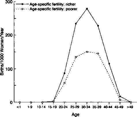 Тайны пола. Мужчина и женщина в зеркале эволюции