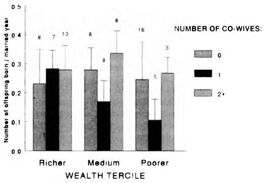 Тайны пола. Мужчина и женщина в зеркале эволюции