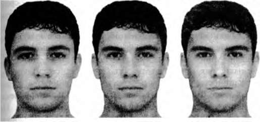 Тайны пола. Мужчина и женщина в зеркале эволюции